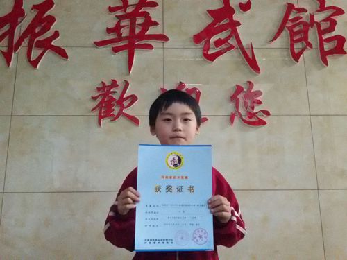 2016河南省武术比赛