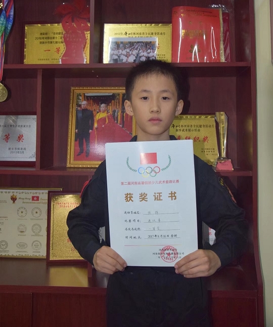 第二届河南省暑假班少儿武术套路比赛
