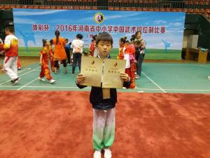 河南省中小学段位制武术比赛