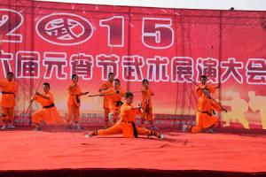 2015 新乡市第六届元宵节武术展演