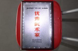 蒲公英河南省中国人寿杯武术邀请赛