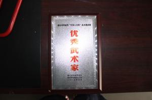 蒲公英河南省中国人寿杯武术邀请赛