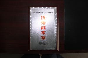 蒲公英河南省中国人寿杯武术邀请赛
