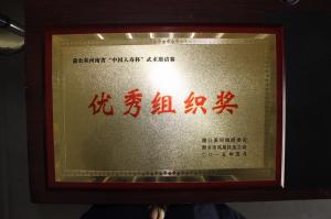 蒲公英河南省中国人寿杯武术邀请赛
