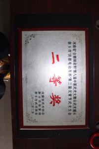 河南省金顺铜业杯第八届中原武术大舞台武术展示