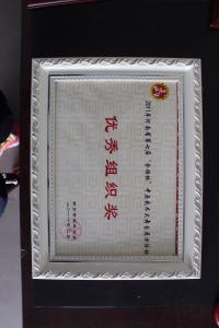 2011年河南省第七届金顺杯中原武术大舞台展示活动