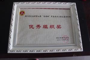 2011年河南省第七届金顺杯中原武术大舞台展示活动