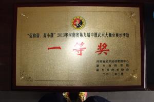 2013年河南省第九届中原武术大舞台展示活动