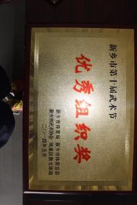 新乡市第十届武术节