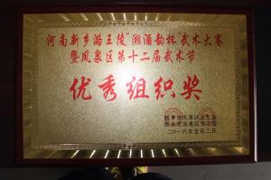 河南新乡潞王陵湘酒韵杯武术大赛