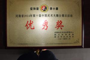 河南省2014年第十届中原武术大舞台